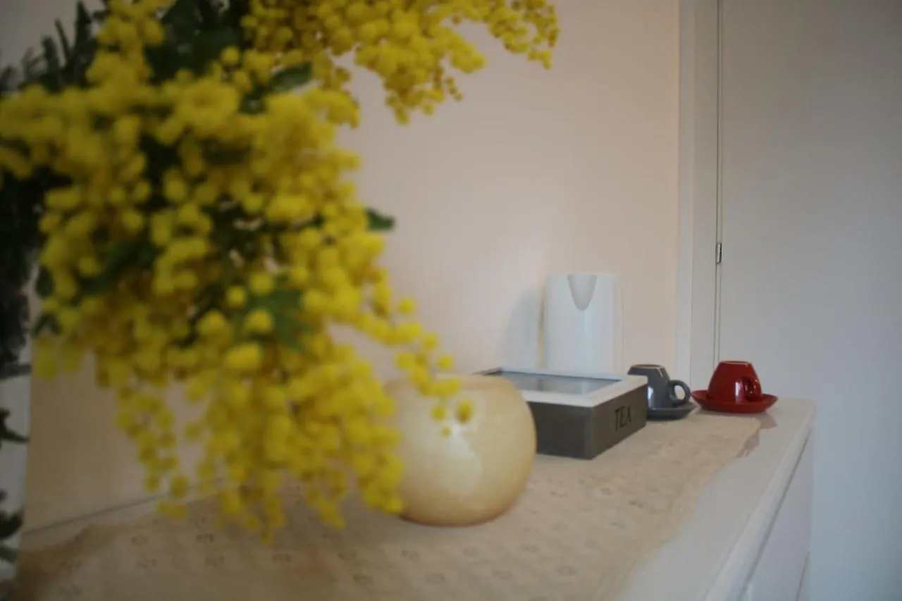Al Grattacielotrenta Apartment Verona